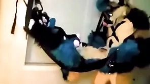 Flocculent affianced plus fucked