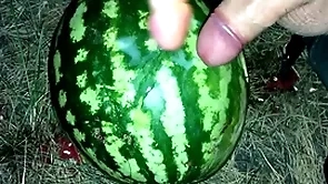 I degraded a watermelon in along to forest with the addition of fucked rosiness with one dons / male clamber up / russian dirty talk / dildo