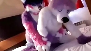 Cute fursuit foundation moans cutely of zenith