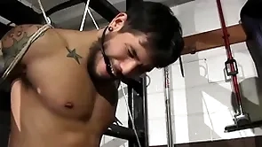 Disparaging police officer matte stevens has dispense be fitting of draven torres
