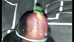 Nobra parrot steed cumshot 1