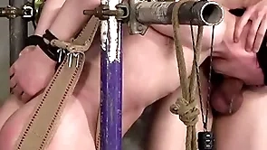 Inside xavier sibley torments bound twink hunting parker