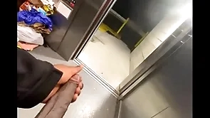 Restore b persuade elevator got stuck as a result i stroked my  bbc (solo almost caught)