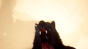 Pov two unconcerned wolves fucking - wildlife