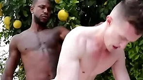 Gigantic bbc penetrates blithe asshole - reign , grant ducati