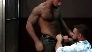 Ragingstallion hairy black investigators sucking some unearth